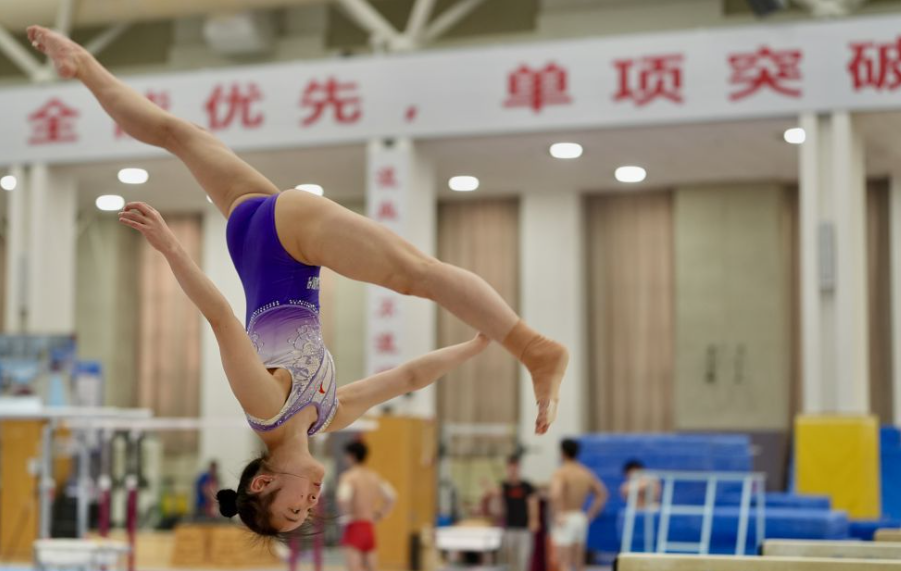 乐竞体育：构建多元化的运动交流体验